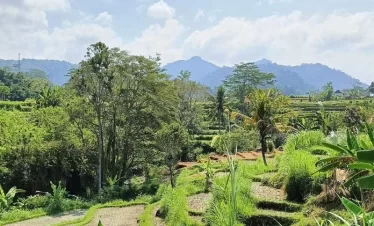 sidemen trekking and besakih temple tour