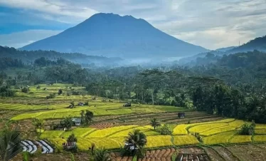 Sidemen Trekking and Besakih Temple Tour