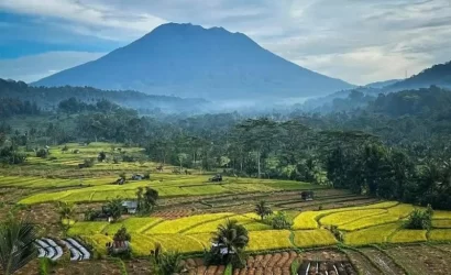 Sidemen Trekking and Besakih Temple Tour