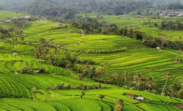ulun danu beratan temple tour