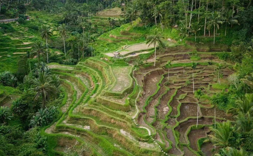 mount batur bali sunrise trekking
