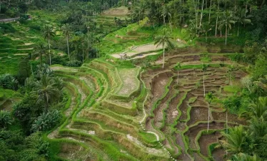 mount batur bali sunrise trekking