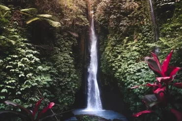 bali waterfall tour