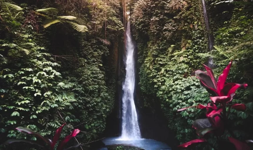 Bali Waterfall Tours