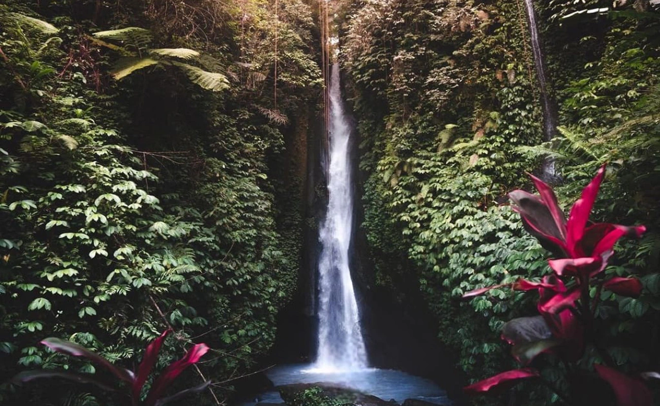 bali waterfall tour