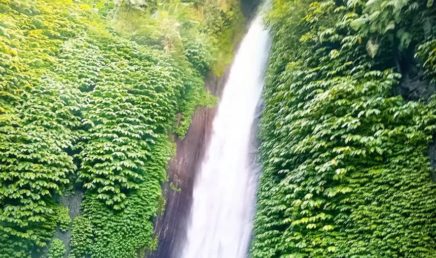 Things To Do In Munduk