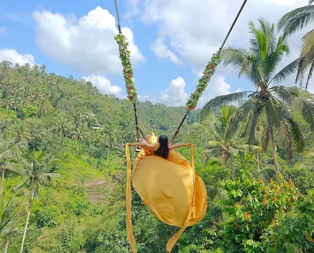 bali swings