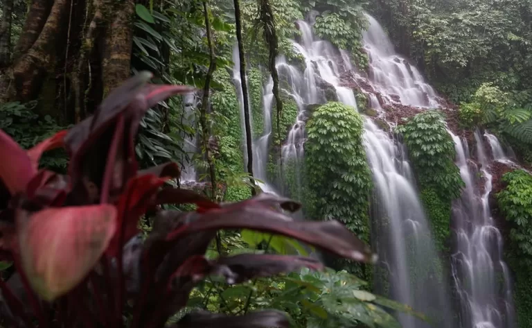banyuwanaamerthawaterfall 768x473