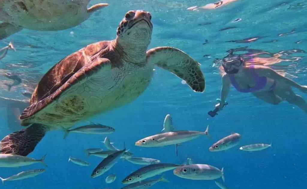 blue lagoon bali snorkeling