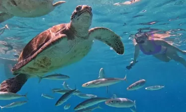 blue lagoon bali snorkeling