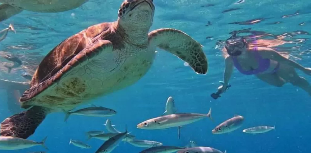 blue lagoon bali snorkeling