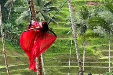 bali swings