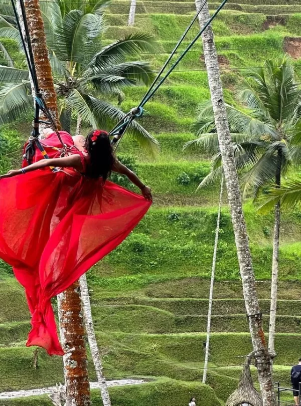 tegalalang tours