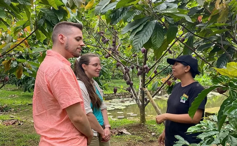 desa coklat bali 1 768x473