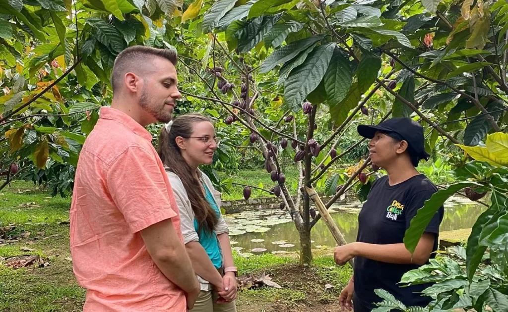 bali chocolate tour