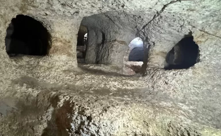 gala gala underground house1 768x473