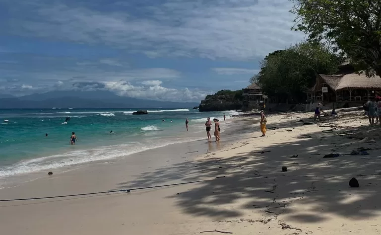 mushroom bay 768x473