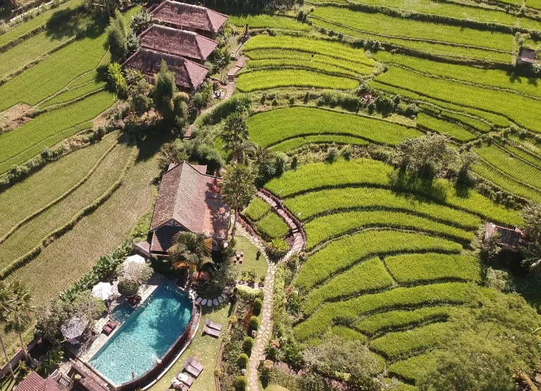 sawah indah villa2 768x555