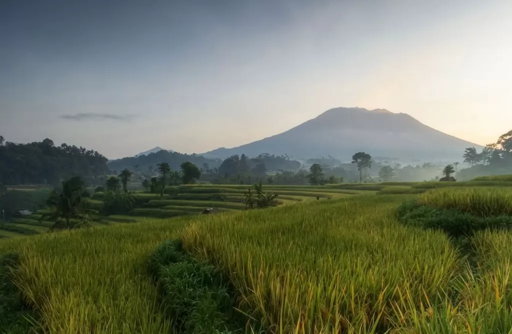 sidemen bali