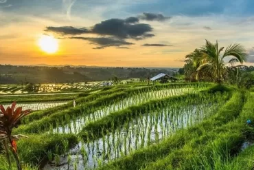 sidemen bali