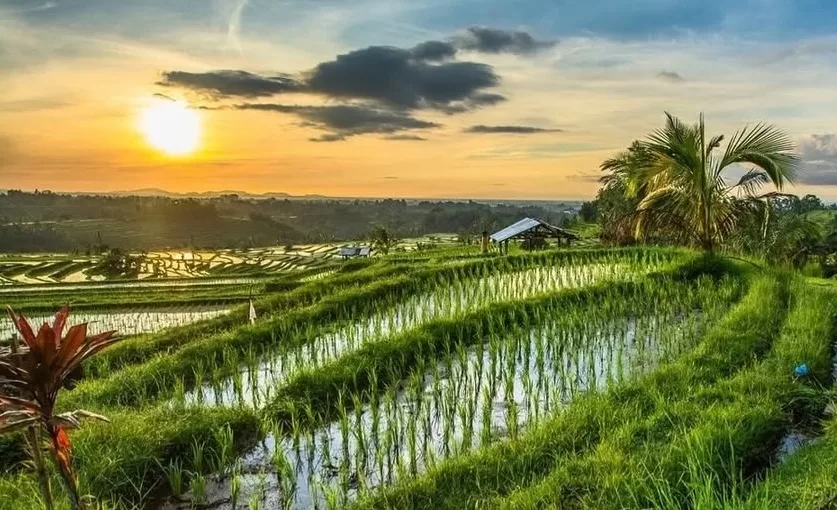 Sidemen Bali: Your Ultimate How-to Guide for an Unforgettable Trip