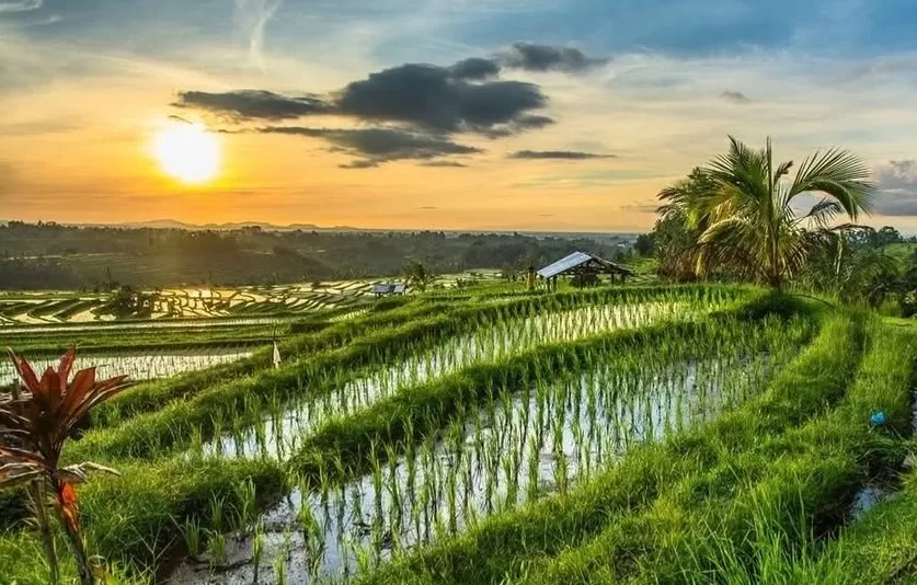 sidemen bali