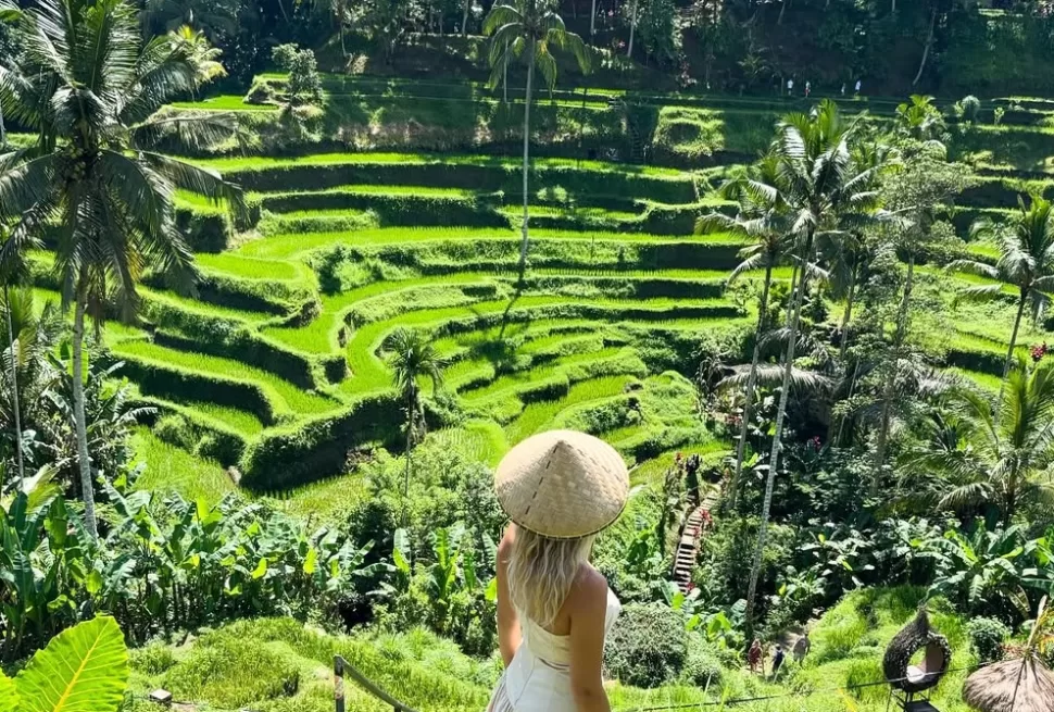 tegalalang rice terrace
