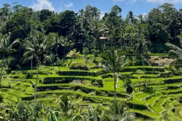 ubud bali