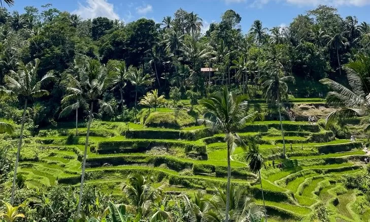 ubud bali